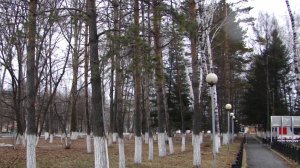 3.12 2018 г. Дождь вместо снега.