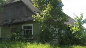 Разневестилась сирень Поёт Елена Саларёва - Грин