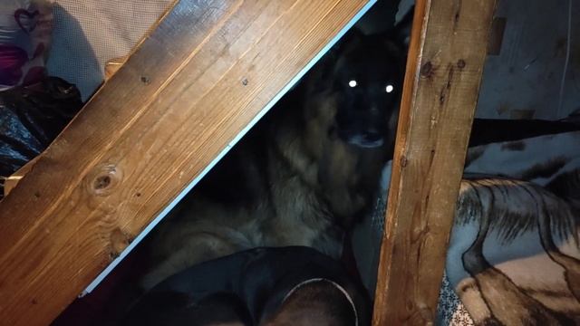 Первый вечер на даче ? смотреть онлайн