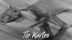РИСУЮ МАРКЕРАМИ куницу | the marten