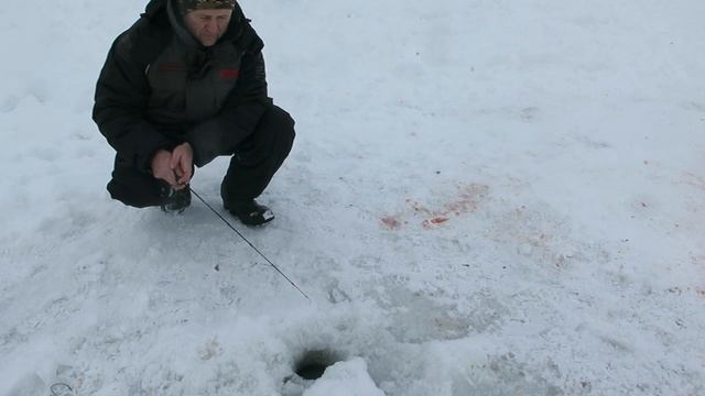 ЛОВЛЯ ФОРЕЛИ ЗИМНЕЙ УДОЧКОЙ MAXIMUS смотреть онлайн