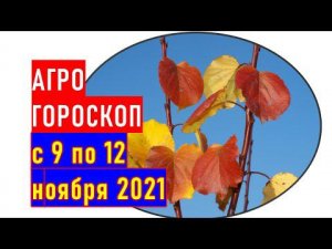 Агрогороскоп с 9 по 12 ноября 2021 года