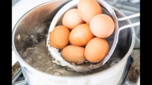 Яйца куриные. Польза и вред яиц