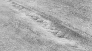 Надзор за безопасностью движения, 1955.