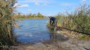 Ловим карася в октябре на макушатник и убийцу карася Рыбалка