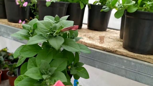 Итоги работы на 8 марта. Рабочие будни. смотреть онлайн