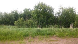 Продаю земельный участок Ярославская область, г.Тутаев