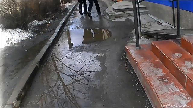 доставка Яндекс про