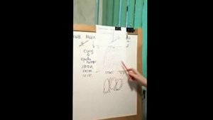 анатомия: ткани, типы тканей , свойства