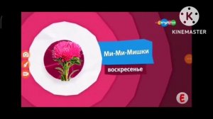 Карусель анонс розовая астра