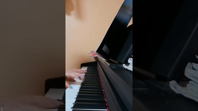 Illuminata - 