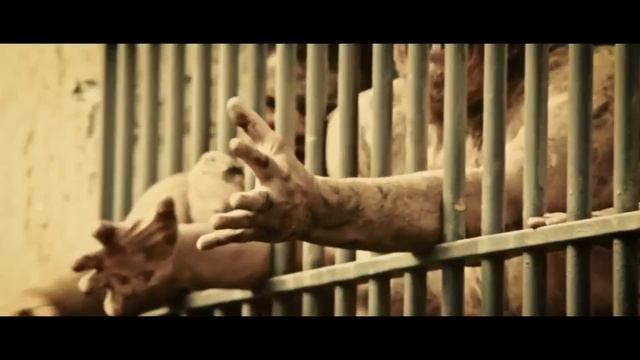 люди свиньи смотреть онлайн