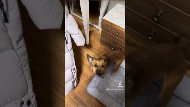 7 декабря 2023 г. смотреть онлайн