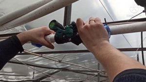 Устанавливаем  автоматический полив для тюльпанов!