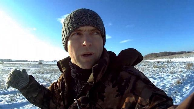 Охота на зайца, когда долго нет снега. По заячьим следам.