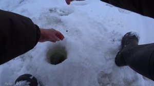 Одни Эмоции от Такой РЫБАЛКИ! Зимняя Рыбалка в Феврале на Оке!