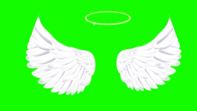 футаж крыльев ангела и нимф? смотреть онлайн