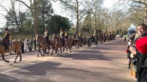 King’s Troop Royal Horse Artillery - Green Park