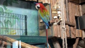 Зоопарк Лимпопо - Нижний Новгород