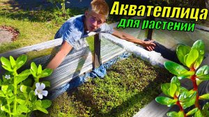 Акватеплица для растений развалилась, НО ЕСТЬ НАДЕЖДА всё восстановить!