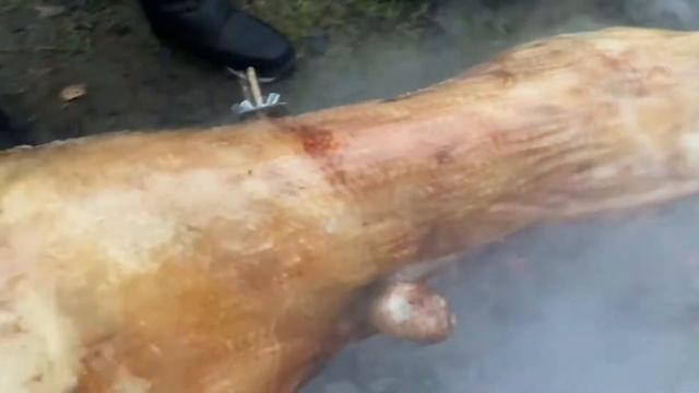 Шашлык из барана на вертеле \ Отзыв провертел смотреть онлайн