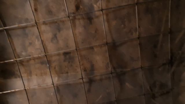 РОЮ ШТОЛЬНЮ ПЕРВОЕ ЗОЛОТО