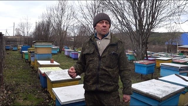 ОШИБКИ НАЧИНАЮЩИХ ПЧЕЛОВОДОВ, НЕТ МАТКИ В СЕМЬЕ ПОСЛЕ ЗИМОВКИ, ЧТО ДЕЛАТЬ?