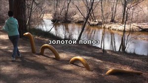Путешествие в природный парк Бажовские места