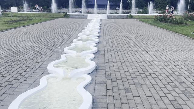 Ботанический сад 06072024 смотреть онлайн