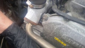 Nissan navara D22 engine repair specialists