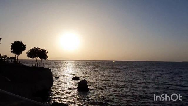 Обзор отеля Sunrise Diamond Beach Resort. Апрель 2021 г. смотреть онлайн