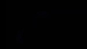 Peugeot Logo Round 4 Logoduel Effects