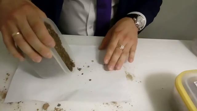 Обзор сыпучих строительных материалов ТК АвтоСпецТранс смотреть онлайн