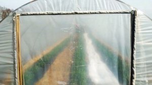 Простые двери для балагана