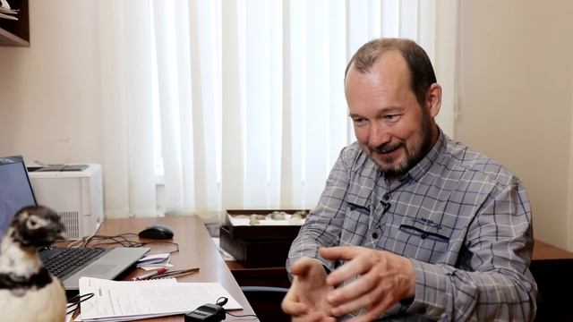 Ужас из глубин африканских туалетов. Игорь Фадеев смотреть онлайн