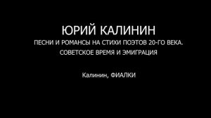 КАЛИНИН - ФИАЛКИ