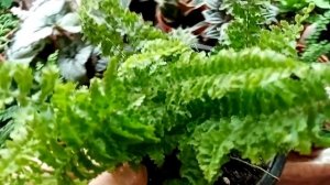 Выставка, Завершаем весенне-летний сезон.