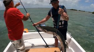 ?Рыбалка на Кубе Выловили огромную барракуду?