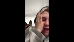 Немецкая овчарка ударила девушку