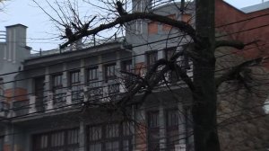 Играй, гармонь! | Николай Измайлов (Воронежская область) | Матаня