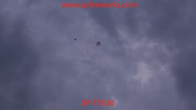 SP-T5530 смотреть онлайн