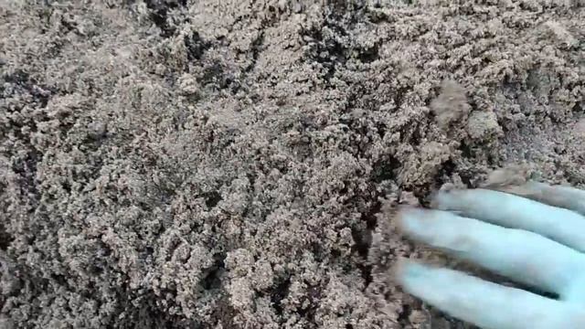 Готовлю грунт для рассады и комнатных растений.