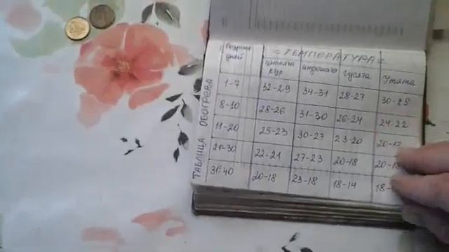 Как я вырастила утят МУЛАРДОВ. Мои первые ГУСЯТА и ИНДЮШАТА. Таблица обогрева птенцов.