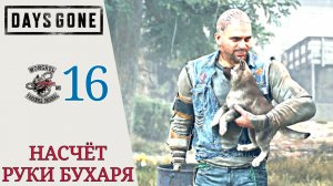 👇 НАСЧЕТ РУКИ БУХАРЯ - Прохождение Days Gone Жизнь после #16 А я и не заметил, визит в город