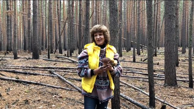 Поздняя осень,собираем грибы!! смотреть онлайн