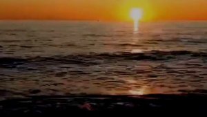 "ПОЧЕМУ? "(CONFESSA), песня Адриано Челентано на русском языке в исполнении Н.Александра.