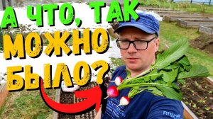 Выращиваем РЕДИС в ЯИЧНЫХ ЛОТКАХ. Развенчиваем МИФ #23