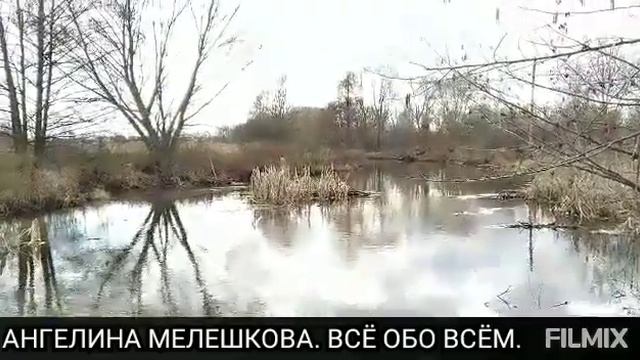 МНОГОДЕТНОСТЬ - ЭТО МОДНО? ЗАЧЕМ НУЖНЫ ДЕТИ/ #деревня #деревенскийдневник #многодетные