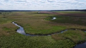 Речка Зельвянка недалеко от деревни Близная
