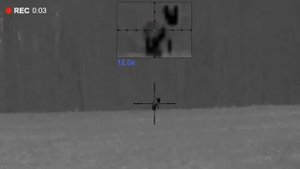 Pulsar Thermion 2 XQ 50 Pro- Predator Hunting